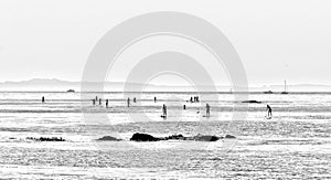 People are surfing SUP boards along the shoreline of San Diego California USA. A black and white photo in a minimalistic style
