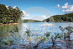 People swimming and boating in Lake Lanier during summer time along side waterfront properties and boat docks