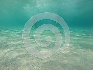 People swimming underwater view