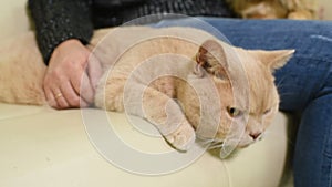 People with their pets are waiting for a medical examination at the veterinary clinic.