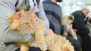 People with their pets are waiting for a medical examination at the veterinary clinic. Animal Health