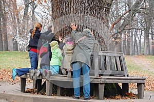 People Touching The Aincient Oak