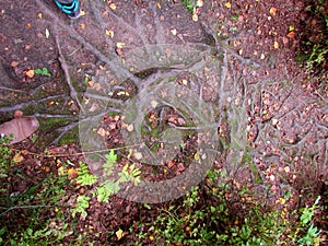 People on the trail