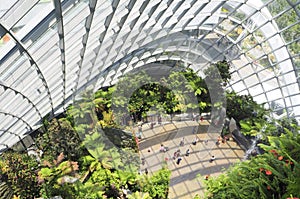 People travel and enjoy the beauty of Gardens by the Bay, Singapore
