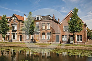 People on tree-lined canal, brick houses and bridge with sunny blue sky in Weesp.