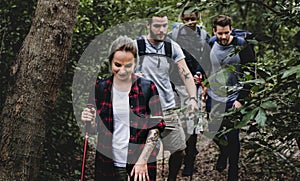 People Trekking in a forest