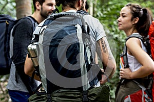 People Trekking in a forest