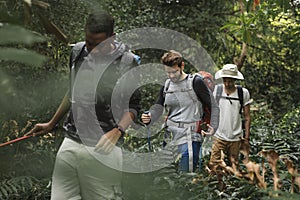 People Trekking in a forest