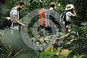 People Trekking in a forest