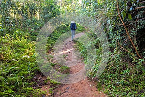 People on trekking trail in rain forest