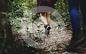 People trekking in a tropical forest outdoor exploration concept