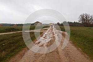 People with Umbrellas on a Dirt Road in the Rain