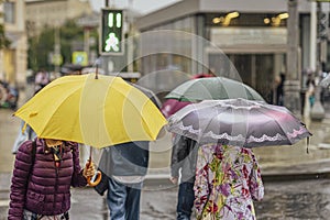 People with umbrellas in rain, back view, city street