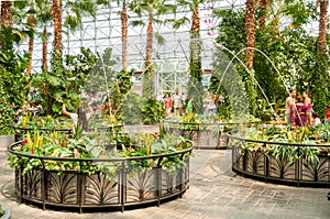 People visiting the Crystal Garden at the Navy Pier in Chicago