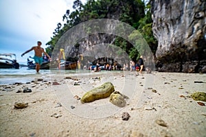 People visiting Famous Monkey beach in Phi Phi Islands, Thailand. selective focus