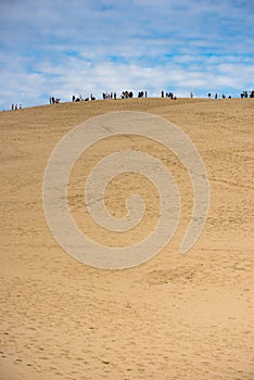 People visiting the highest sand dune in Europe Dune of Pyla