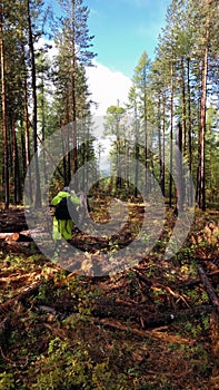 People walk along a trail in the Siberian taiga. Geologists are following the forest route