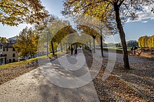 People walk on the ancient perimeter walls of Lucca, Italy, under trees with colorful autumn hues