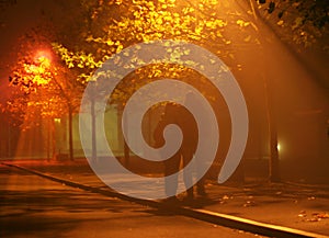 People walk in fog and light