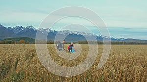 People walk near beautiful mountains in wheat field. Family travels. People environment by mountains. Parents and kid