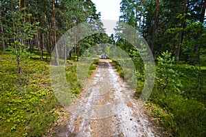 People walk in Roztocze Poland forest