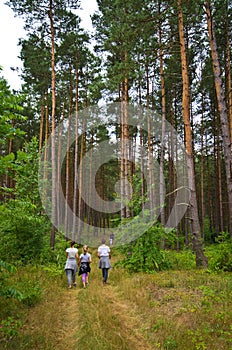 People walk in Roztocze Poland forest