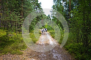 People walk in Roztocze Poland forest