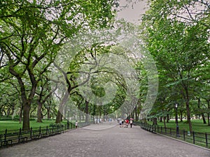 People walking along the Central park promenade photo