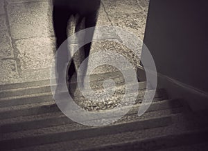 People walking in ancient stone staircase