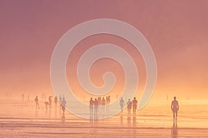 people walking on beach