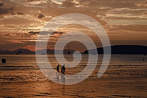 People walking at the beach on beautiful summer sunset