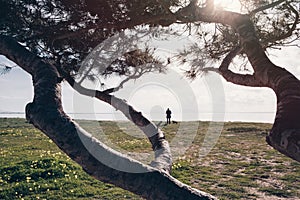 People walking at the beach in a sunny day