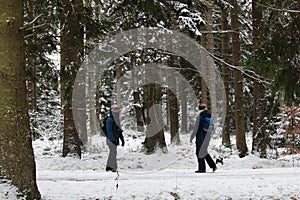 People walking in the snow