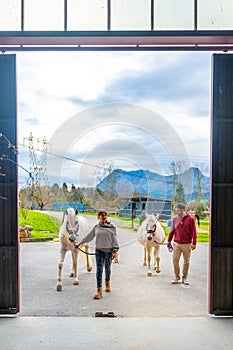 People walking carrying horses on a equestrian center