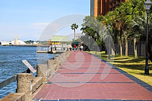 People walking down a long red and black brick footpath along the river with vast blue lake water with lush green palm trees