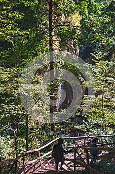 People walking down paths in mountain forest