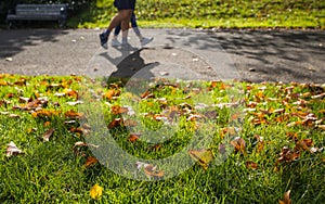 People walking by fallen leaves photo