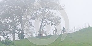 people walking in the forest with fog in the morning