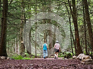 People Walking in Forest for Health