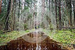 People walking on a forest path in the early springtime in a rainy day. Selective focus