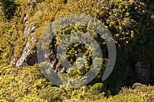 People walking with great backpacks in mountain landscape - trekking hiking mountaneering in mantiqueira range Brazil