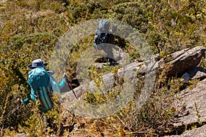 People walking with great backpacks in mountain landscape - trekking hiking mountaneering in mantiqueira range Brazil