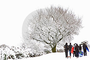 People walking through heavy winter snow. A whiteout scene, photo