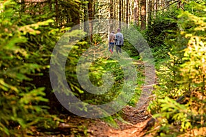 People walking on a hike path in a deep forest in table mountain