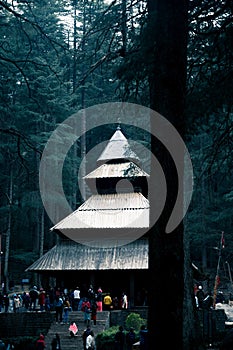 People walking inside the Hadimba Temple Situated Inside a Pine Tree