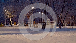 People walking in the park with fresh snow after a snowfall