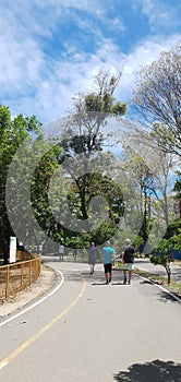 people walking in Parque da Jaqueira in Recife, Brazil