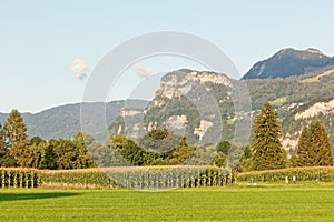 People walking in sunny Rheintal valley