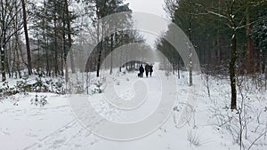 People walking with their dog in a snow covered forest