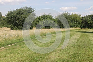 People walking on a trail in an open green field.